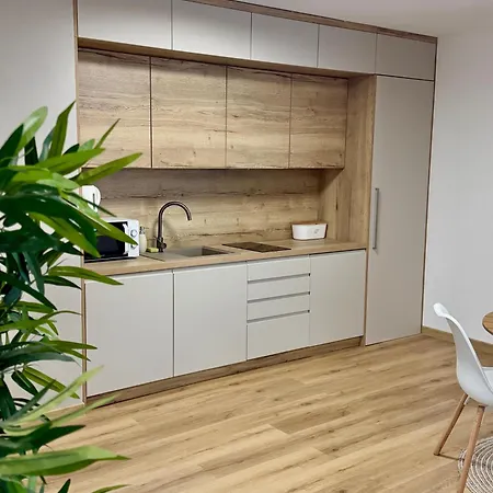 Apartment Atelier Smutna