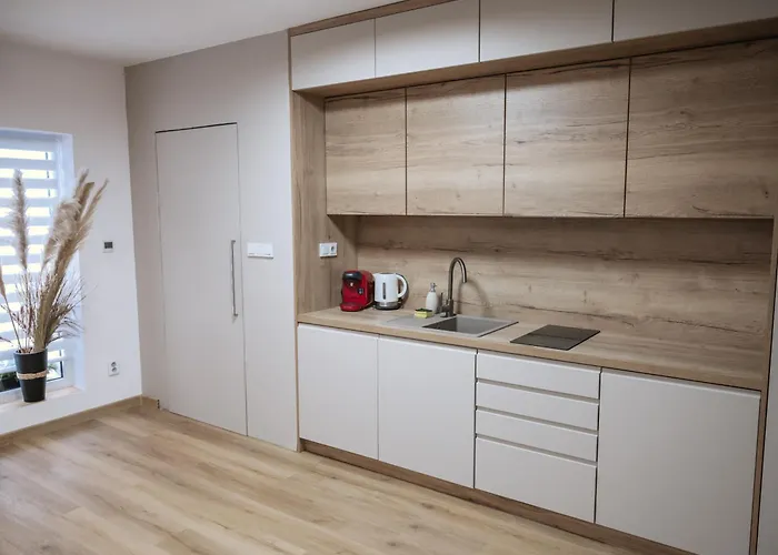 Apartment Atelier Smutna